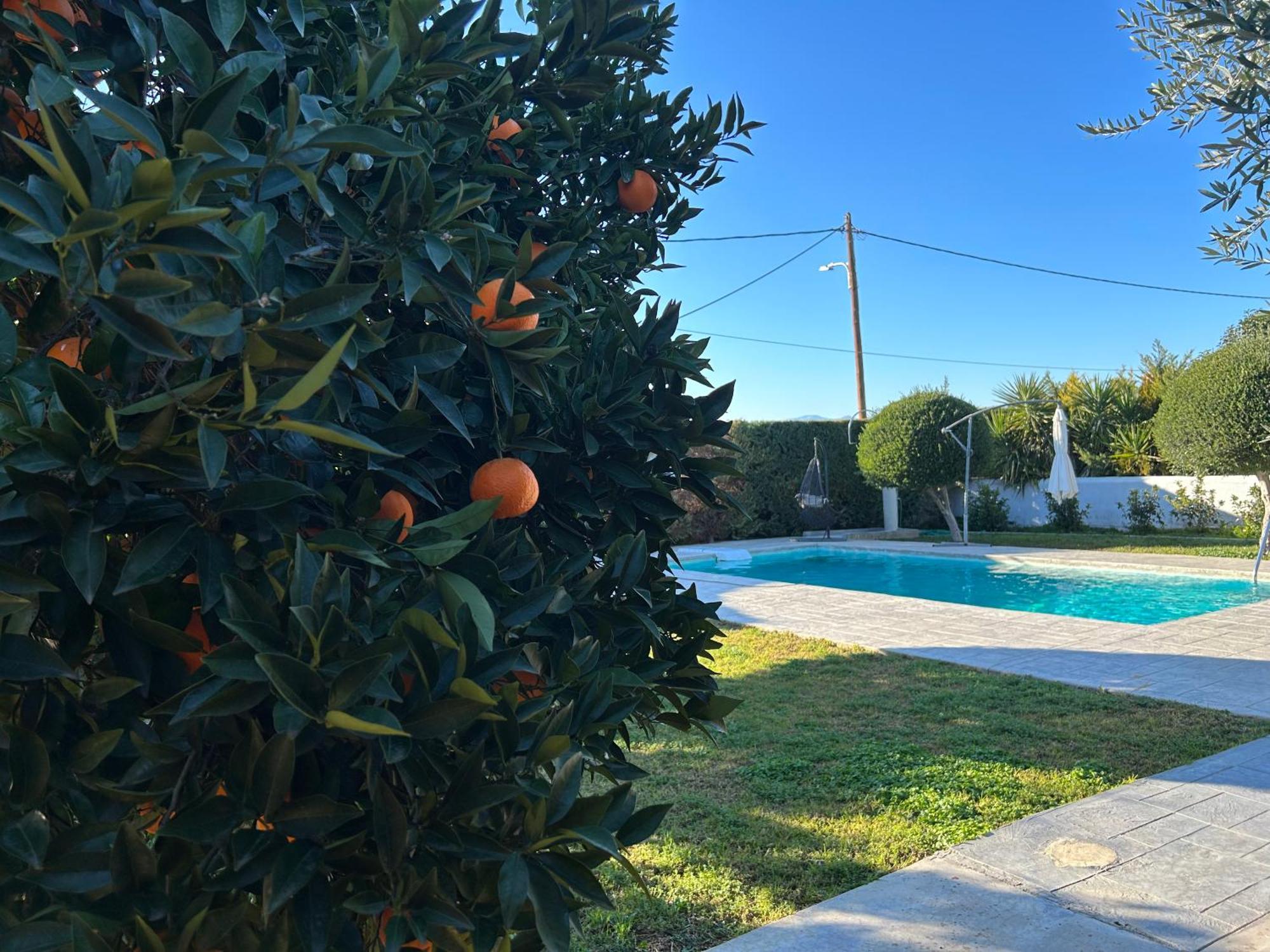 The Orange Garden Apartment Nafplio Ngoại thất bức ảnh